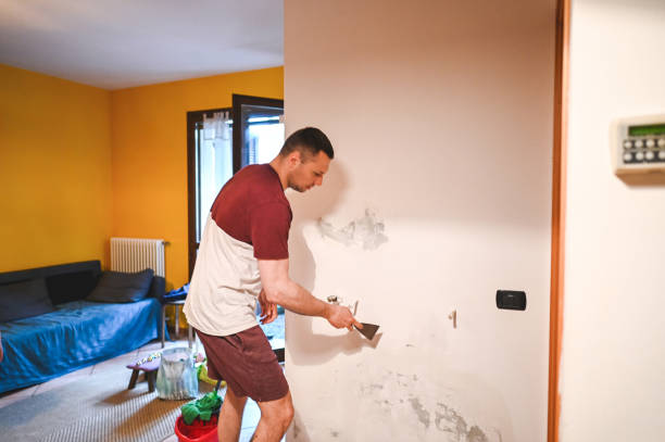 Best Mold Cleaning Services  in Elmhurst, IL